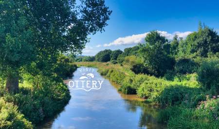 river surrounded by greenery