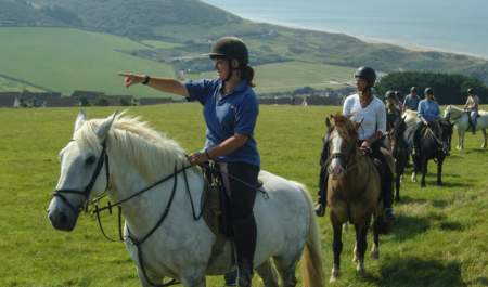 horses being ridden across the countryside in devon