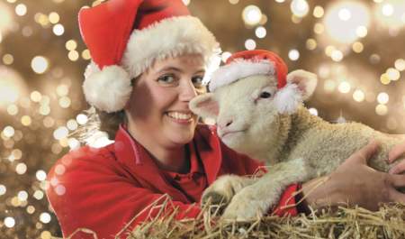 image shows a lady in a Christmas hat with a lamb, also in a Christmas hat