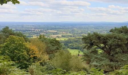 View from Black Down