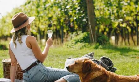 A lady sitting drinking wine among vines with a dog