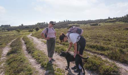 Two women walking in the New Forest with a dog