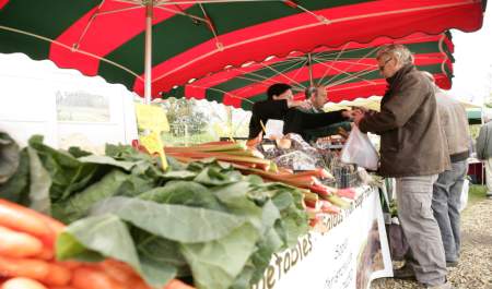 Where to buy local produce collection