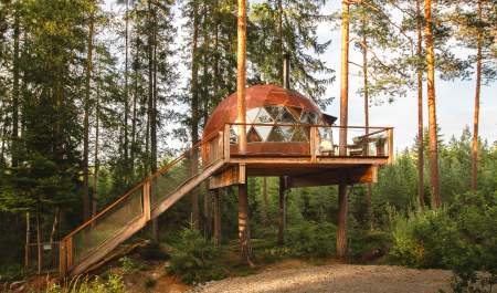 Tretoppdomen sett fra siden, trehytte i trærne