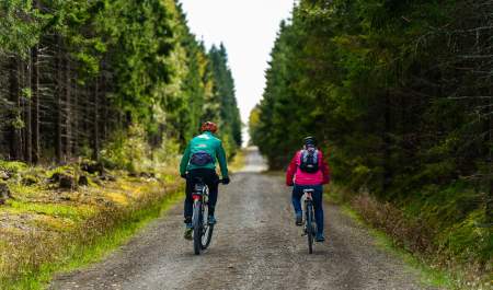 Two people cycling on a dirt road in the forest