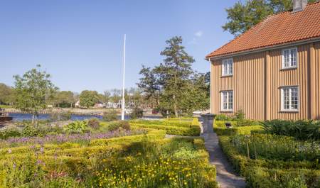 En vakker blomstrende hage