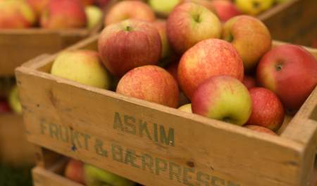 apples in a wooden box with Askim fruit and berry pressing on it