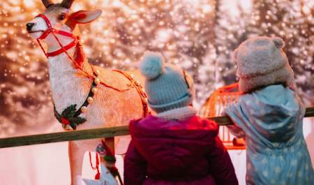 Step into Christmas at Telford’s Festive Gardens