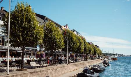 Arendal vårbilde Pollen