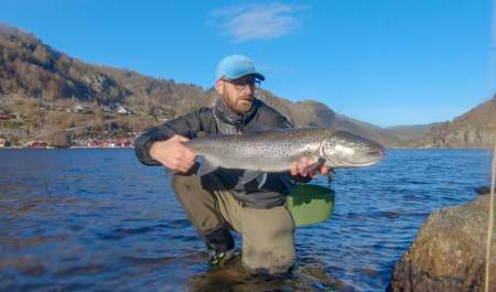 A big sea trout in Lenefjorden, Lyngdal