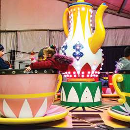 Teacups