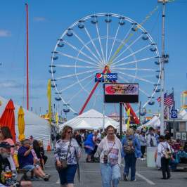 springfest