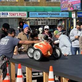 Sunfest Fall Activities
