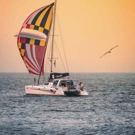 Sail Alyosha At Sunset
