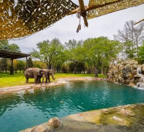 Spend A Day At The Fort Worth Zoo