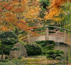 Where To Find Fall Foliage in Fort Worth