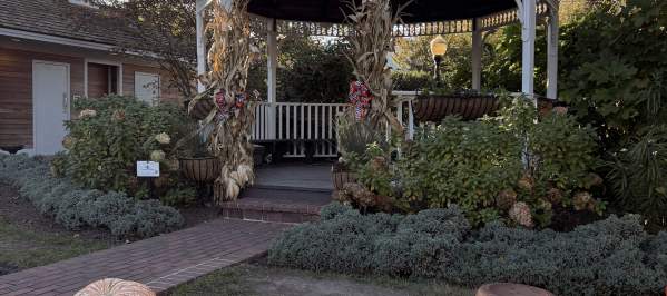 A gazebo decorated with corn stalks and pumpkins located in Lewes, Del.