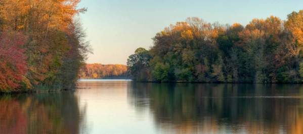 Lums Pond State Parks daytime shot