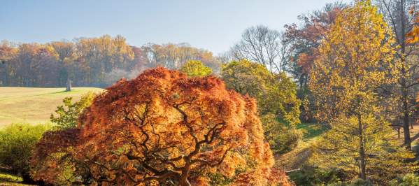 A view of fall trees from Winterthur Museum in Wilmington, DE during fall.