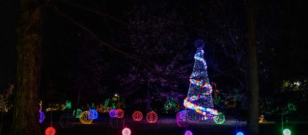 Plan Your Visit - Trip Ideas Culture Guides - Winter