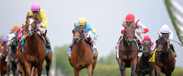 belmont-stakes