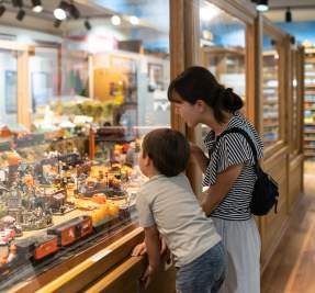 Customs House Museum - for listing only