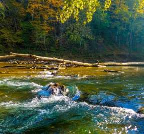 Billy_Dunlop_Houston_Menser_lrg