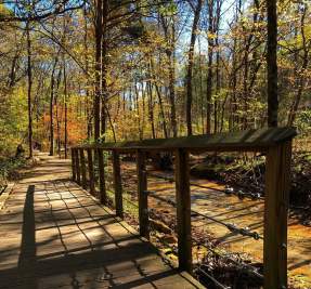Rotary Park - Fall Bridge