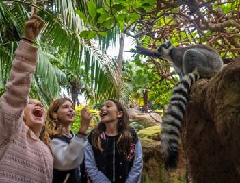 Actividades para niños y familia