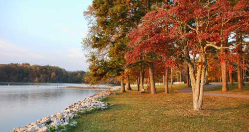 Fall Trees Lakefront