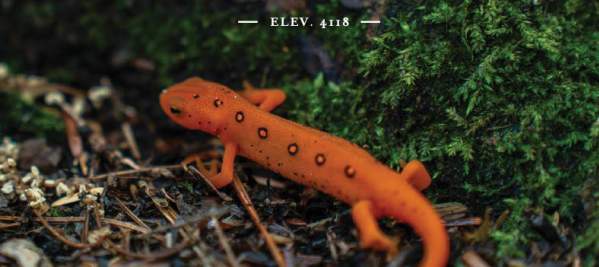 2026 Experience Guide cover