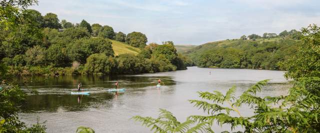 People paddleboarding on Lliw Reservoir