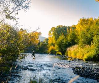 An angler stands in a flowing river as he casts his rod, the river is surrounded by golden and green trees and foliage.
