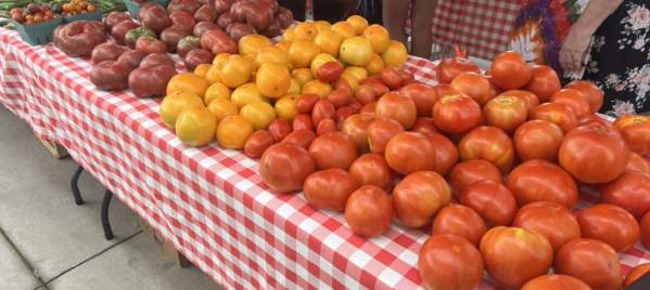 Downtown Hickory Farmers Market