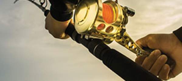 Angler's Guide