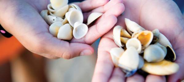 Child-Hands-with-Seashells