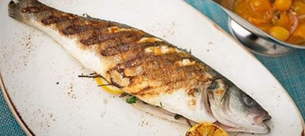 fish