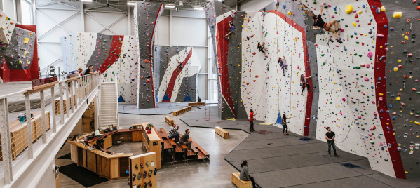 An interior shot showing many rock climbers climbing in Adventure Rock's indoor facility