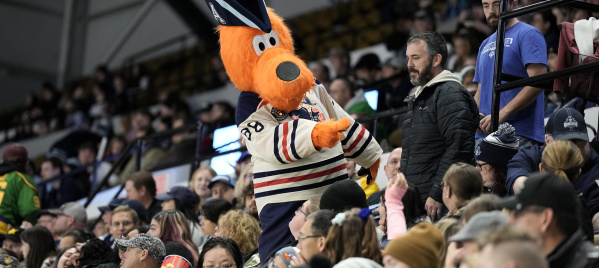 Milwaukee Admirals Crowd with Bosco
