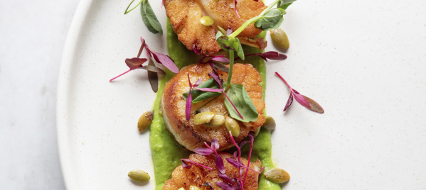 Ben Jones' Scallops