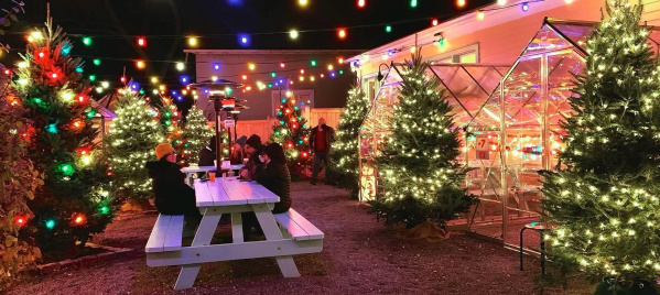 Making Spirits Bright: Milwaukee’s Holiday Bars and Pop-Ups
