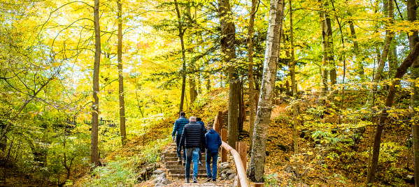 Seven Bridges Fall Family