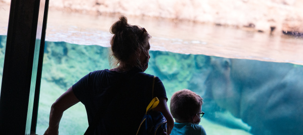 Mother and son looking at the Hippo Haven exhibit at the Milwaukee County Zoo