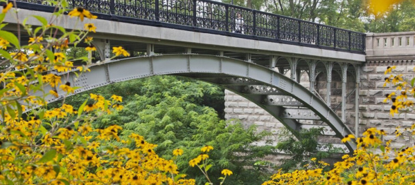 Lake Park Bridge - Flowers