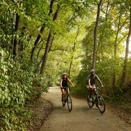 Couple biking through the forest