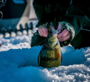 Devils Lake Officially Open for Ice Season
