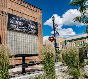 Devils Lake Summer 2021 - Black Paws Brewing Co