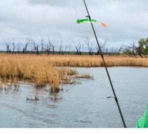 Hooking into the Action: Late Season Success on Devils Lake