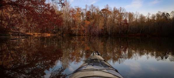 Fall