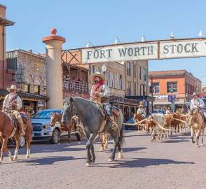 Fort Worth Herd